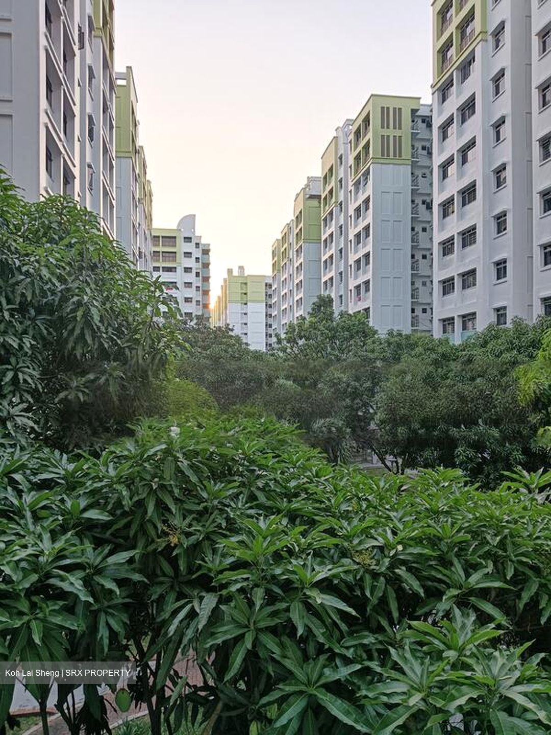 Blk 666 Woodlands Ring Road (Woodlands), HDB 4 Rooms #461723611
